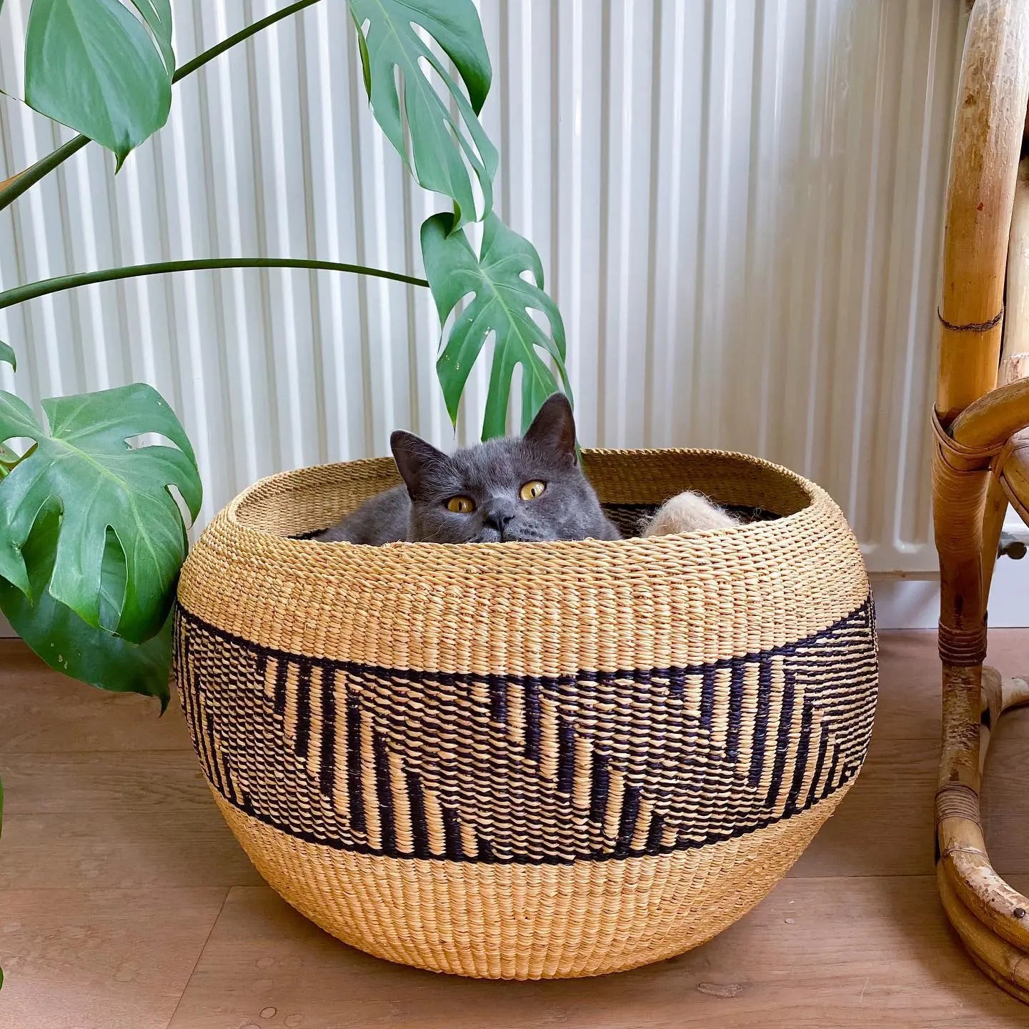 Chunky Bowls Mambo Baskets