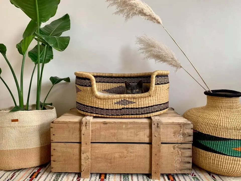 Dog & Cat Beds Mambo Baskets