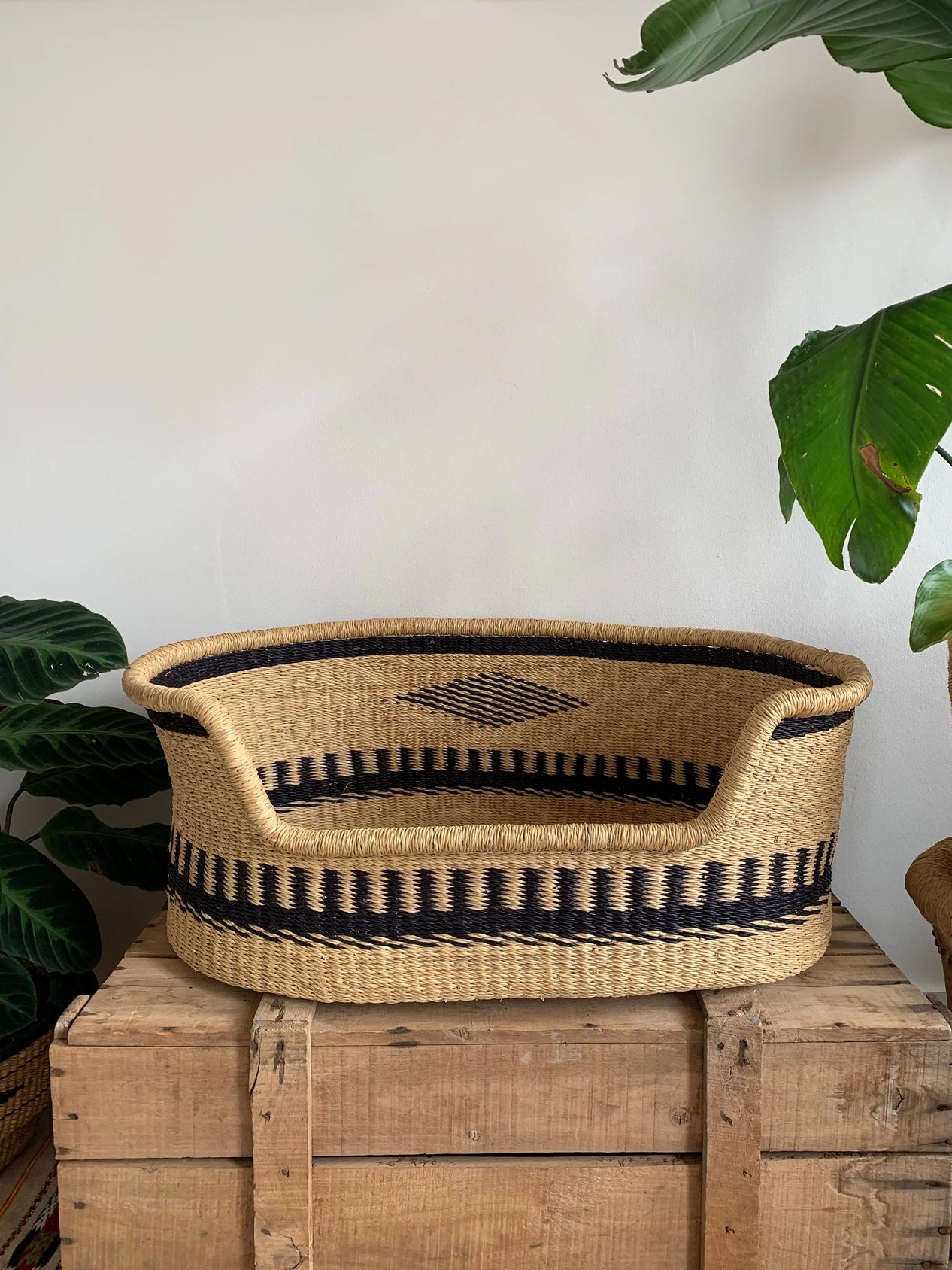 Dog Bed M no. 1 Mambo Baskets